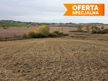 Działka rolna Karwin