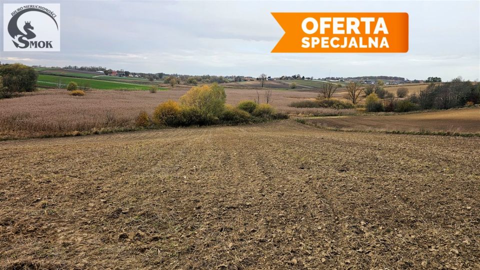 Działka rolna Karwin