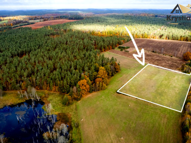 Działka siedliskowa Gliśnica