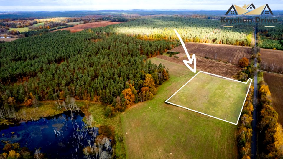 Działka siedliskowa Gliśnica