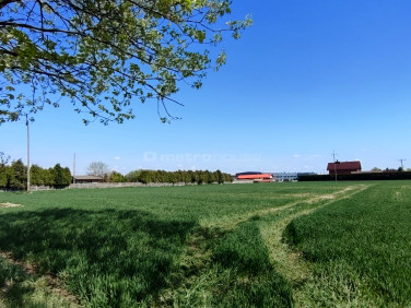 Działka budowlana Gogołowa