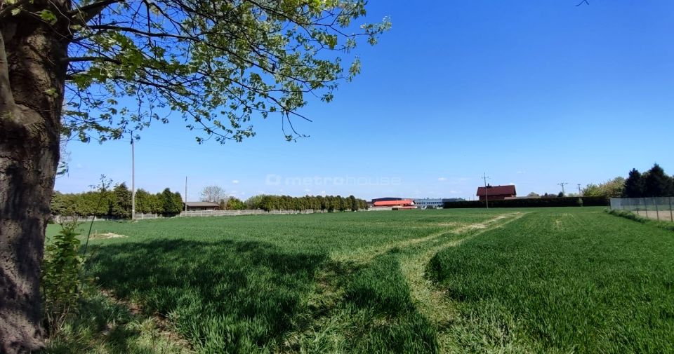 Działka budowlana Gogołowa