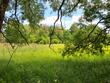 Działka rolna Sobolewo