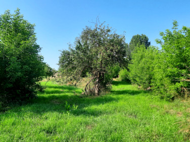 Działka przy lesie