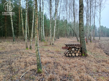 Działka nad jeziorem