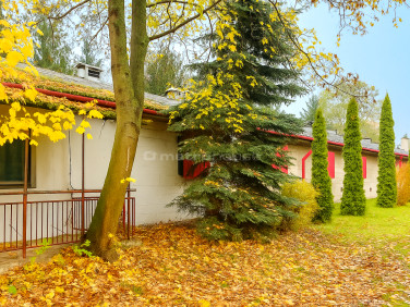 Działka inwestycyjna Wilcza Góra sprzedam