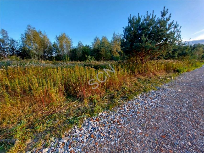 Działka budowlana Pęclin sprzedam