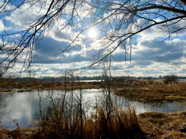 Dom Wólka Smoszewska