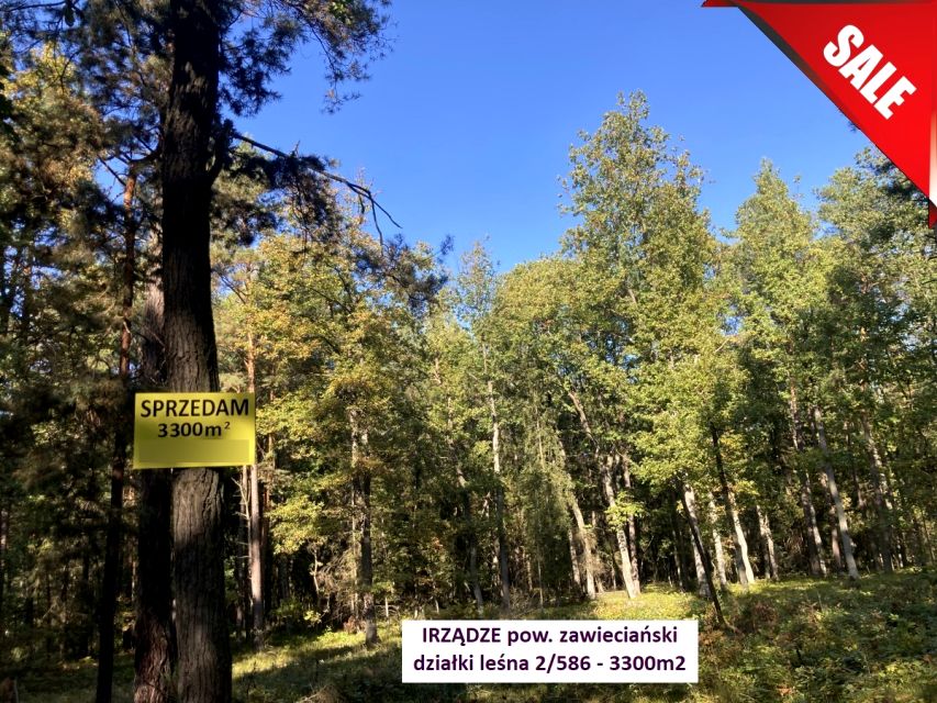 Działka leśna Irządze