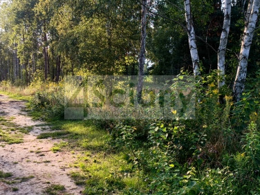 Działka Czarny Las