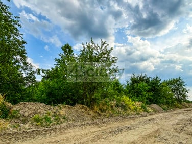 Działka budowlana SZCZĘSNE