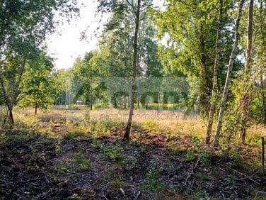 Działka Czarny Las