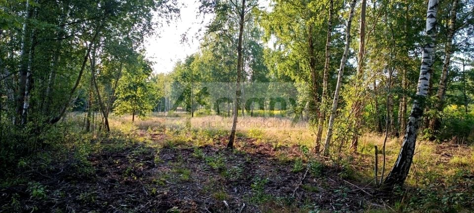 Działka Czarny Las