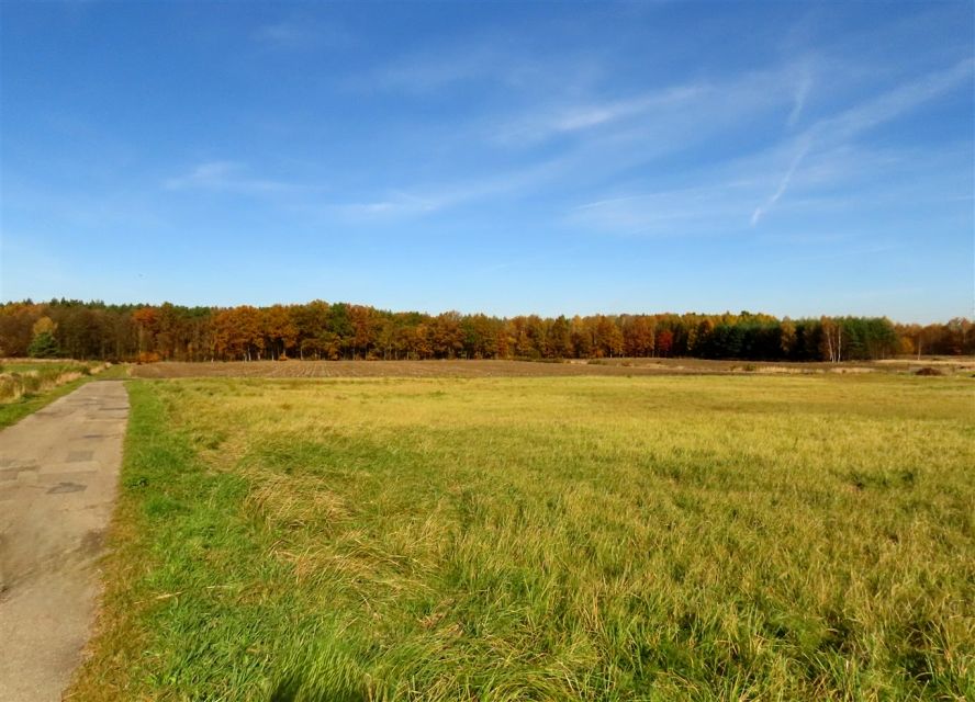 Działka przy lesie