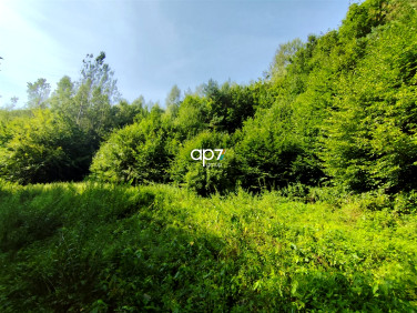 Działka rolna sprzedam