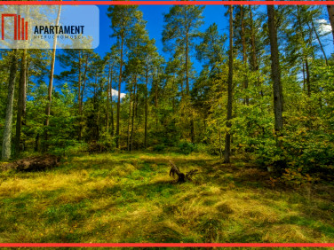 Działka usługowa Chwaszczyno