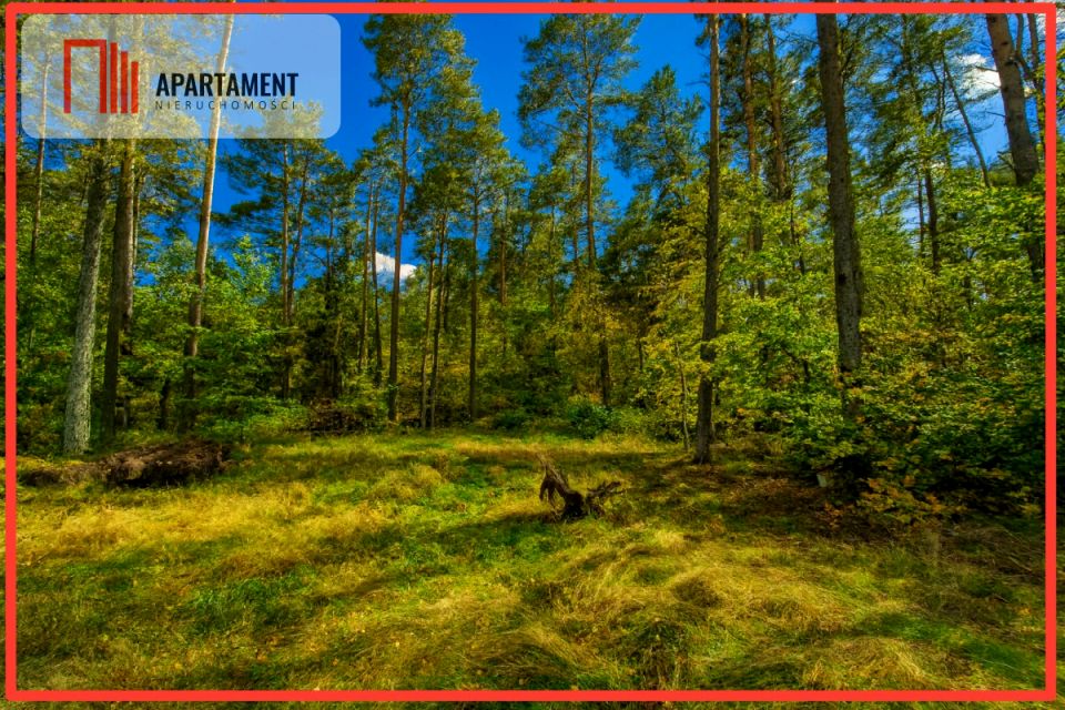 Działka usługowa Chwaszczyno