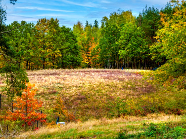 Działka budowlana Jeziórka