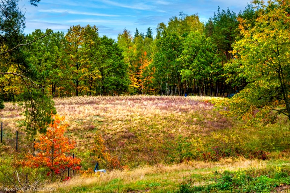 Działka budowlana Jeziórka
