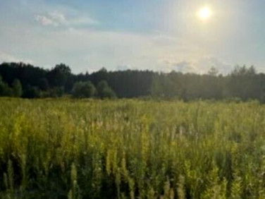 Działka budowlana Słupno