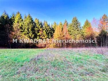 Pusta działka Lipowa