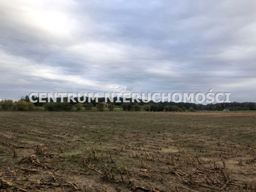 Działka budowlana Zielonczyn