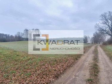 Działka budowlana Stawek