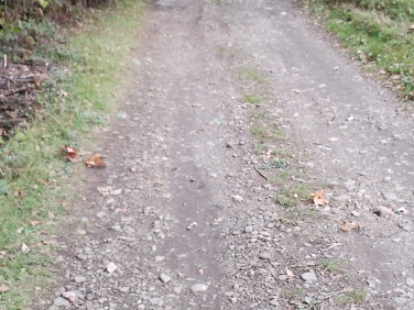 Działka leśna Osobnica