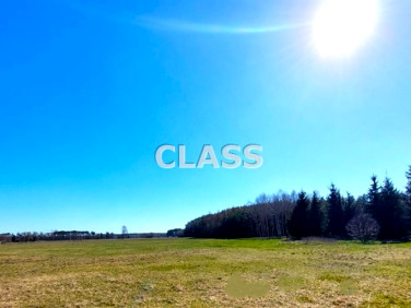 Działka rolna Czarnowo