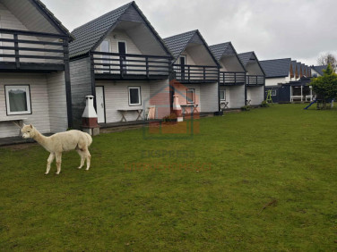 Dom Tupadły sprzedaż