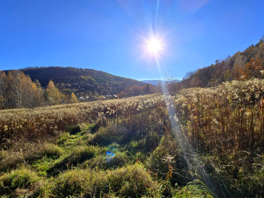 Działka budowlana Jelenia Góra