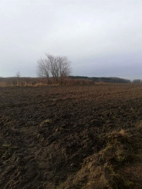 Działka rolna Koluszki