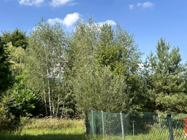 Działka rekreacyjna Nienawiszcz sprzedam