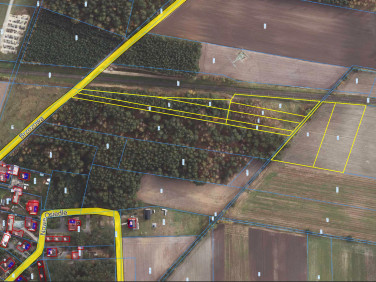 Działka leśna Garki