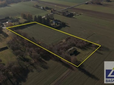 Zalesiona działka Gałęzów