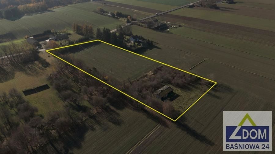 Zalesiona działka Gałęzów