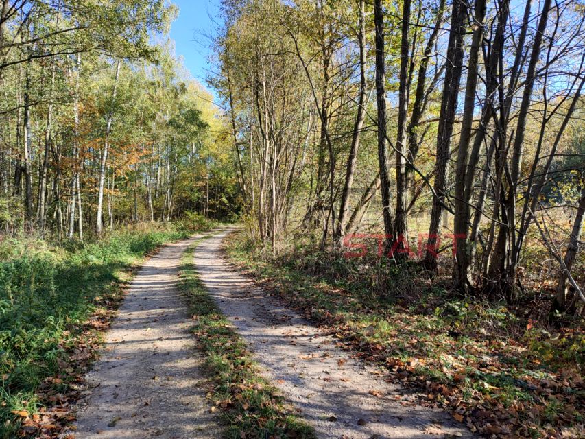 Działka budowlana Radziejowice