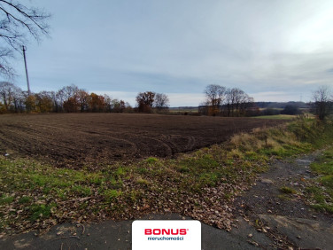 Działka usługowa Wojcieszyn sprzedam