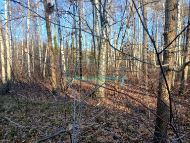 Działka budowlana Owczarnia