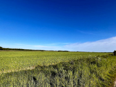 Mieszkanie Białystok