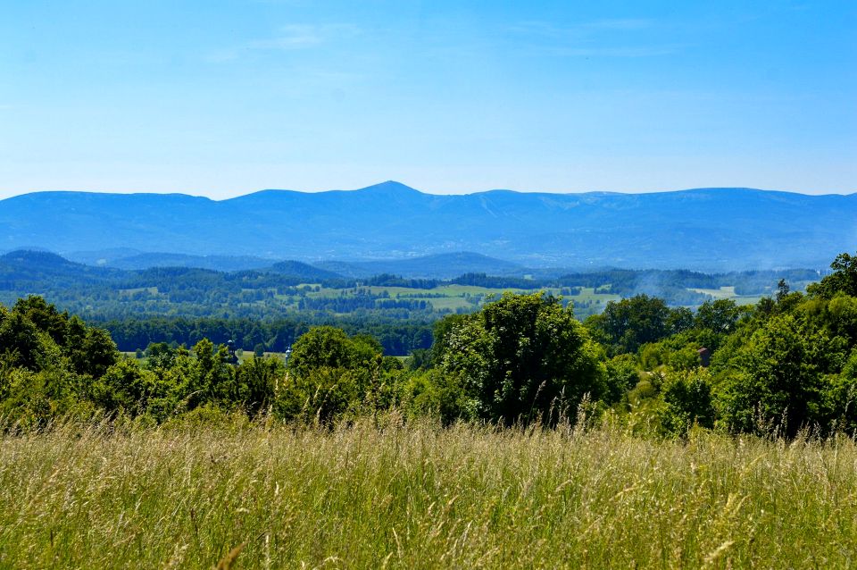 Działka usługowa Komarno