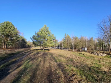 Działka budowlana Grzegorzewice