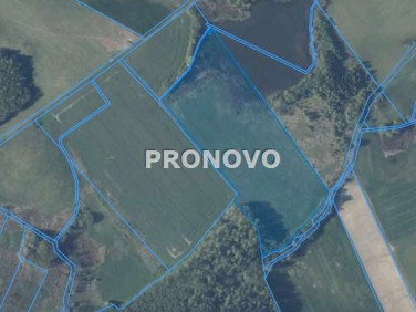 Działka rolna Ognica sprzedam