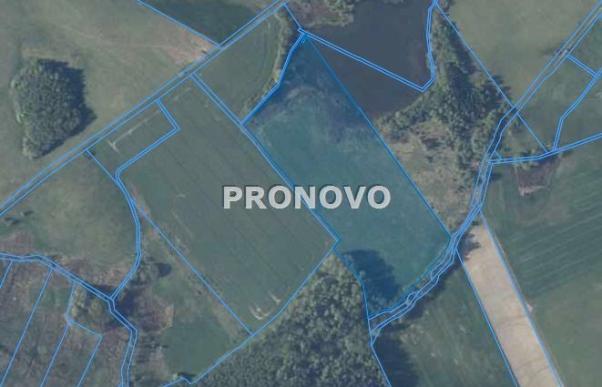 Działka rolna Ognica sprzedam