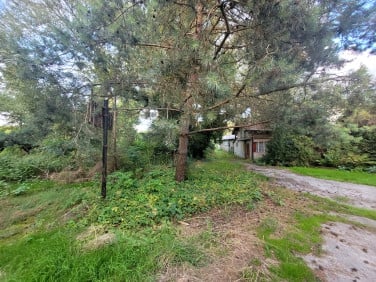 Działka Niestępowo