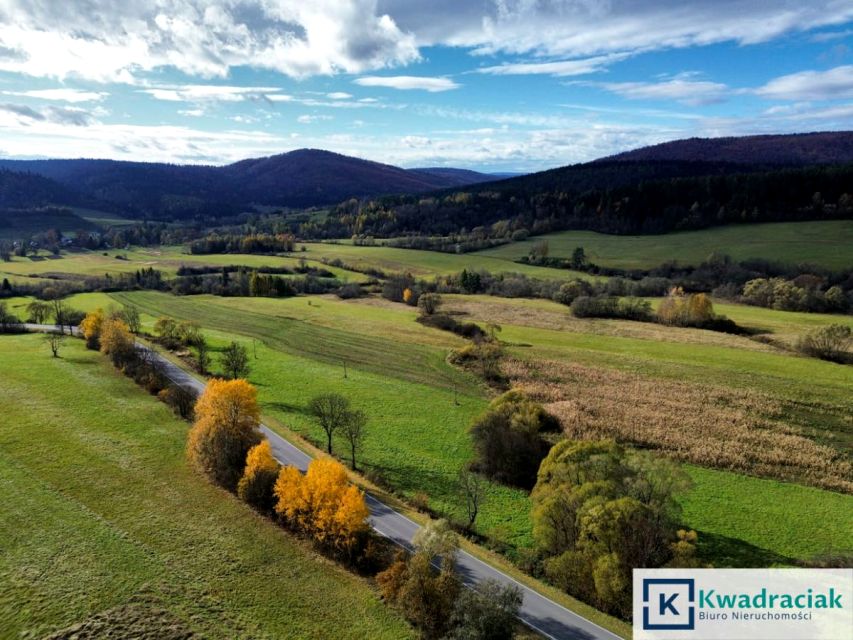 Działka rolna Daliowa