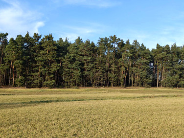 Działka budowlana Schodnia