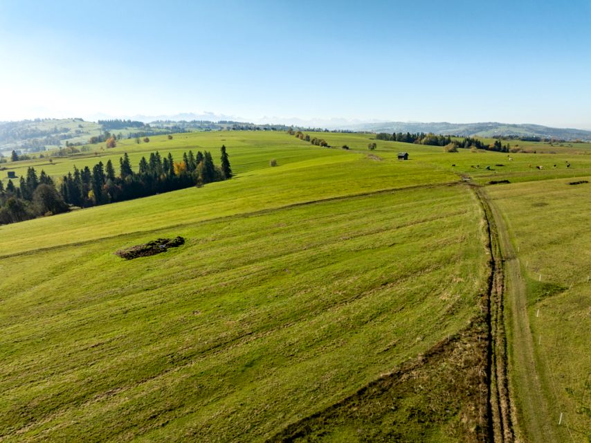 Działka rolna Leśnica