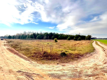 Działka leśna Paulinowo