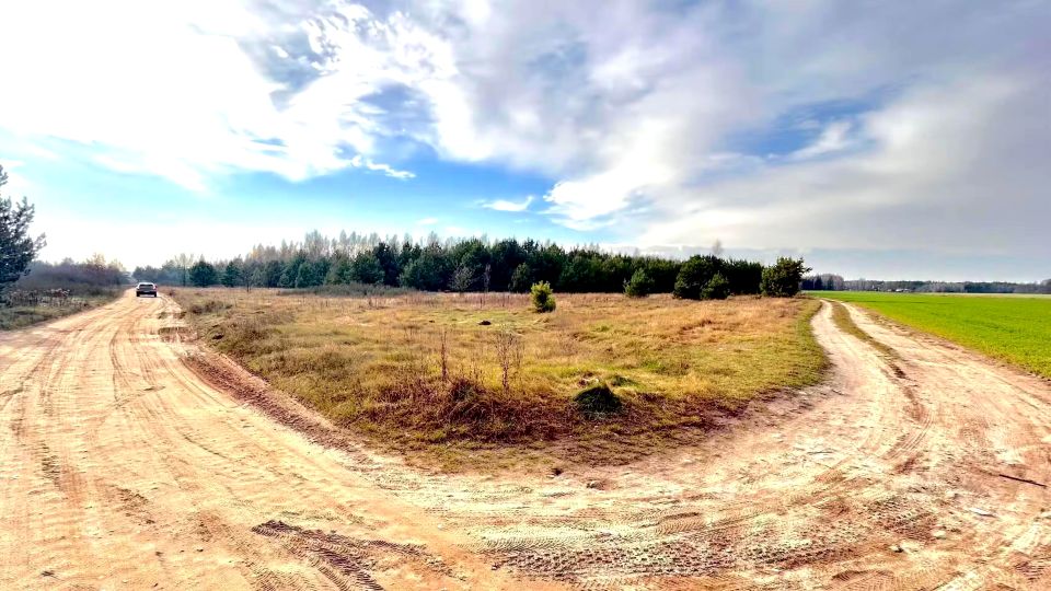 Działka leśna Paulinowo